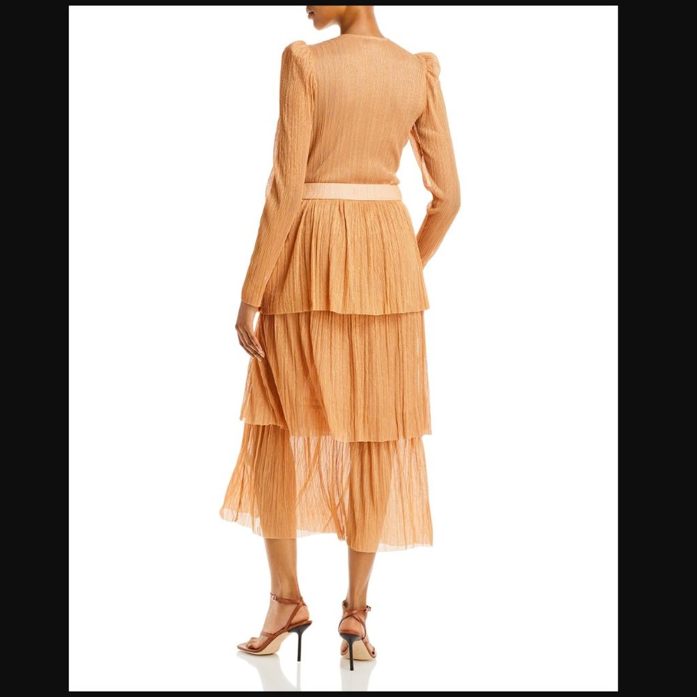 Sabina Musayev Carry Pleated Maxi Dress - Picture 2 of 5